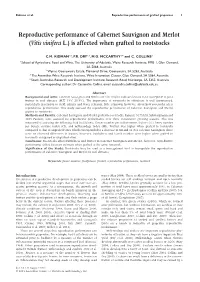 Reproductive Performance of Cabernet Sauvignon and Merlot (Vitis Vinifera L.) Is Affected When Grafted to Rootstocks