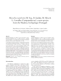Campanulaceae), a New Species from the Madeira Archipelago (Portugal)
