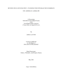 CHANGING PERCEPTIONS of WILD HORSES in the AMERICAN LANDSCAPE a Dissertation Submitted to the Gradu