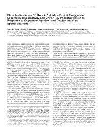 Phosphodiesterase 1B Knock-Out Mice Exhibit Exaggerated Locomotor Hyperactivity and DARPP-32 Phosphorylation in Response to Dopa