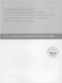 Stratigraphic Revision and Depositional Environments of the Upper Cretaceous Toreva Formation in the Northern Black Mesa Area, Navajo and Apache Counties, Arizona