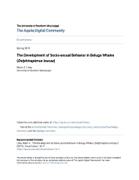 The Development of Socio-Sexual Behavior in Beluga Whales (Delphinapterus Leucas)