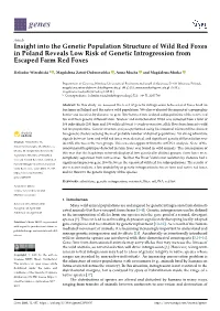 Insight Into the Genetic Population Structure of Wild Red Foxes in Poland Reveals Low Risk of Genetic Introgression from Escaped Farm Red Foxes