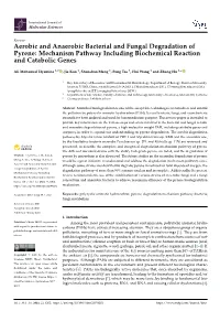 Aerobic and Anaerobic Bacterial and Fungal Degradation of Pyrene: Mechanism Pathway Including Biochemical Reaction and Catabolic Genes