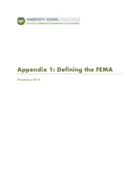 Appendix 1: Defining the FEMA