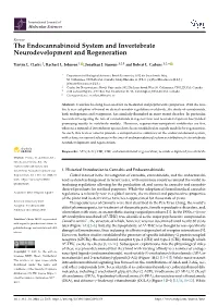 The Endocannabinoid System and Invertebrate Neurodevelopment and Regeneration