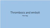Thrombosis and Emboli Peter Nagy • a Thrombus Is Any Solid Object Developing from the Blood in Vivo Within the Vascular System Or Heart