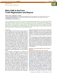 Stem Cells in the Face: Tooth Regeneration and Beyond