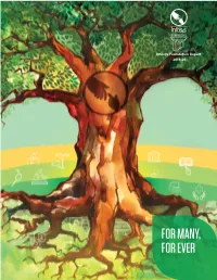 Infosys Foundation Annual Report