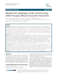 Mitogenomic Phylogeny of the Common Long-Tailed Macaque