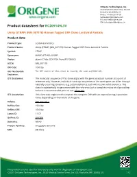 Unrip (STRAP) (NM 007178) Human Tagged ORF Clone Lentiviral Particle Product Data
