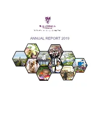 Annual Report 2019