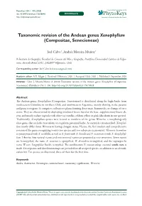 Compositae, Senecioneae)