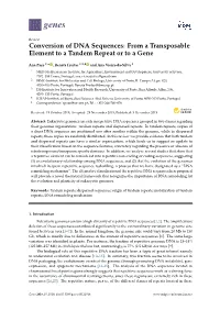 Conversion of DNA Sequences: from a Transposable Element to a Tandem Repeat Or to a Gene