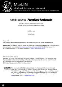 Download PDF Version