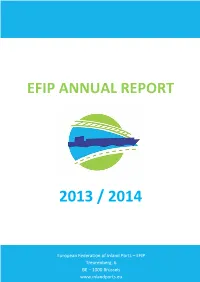 Efip Annual Report