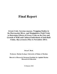 Final Report