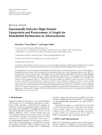 Functionally Defective High-Density Lipoprotein and Paraoxonase: a Couple for Endothelial Dysfunction in Atherosclerosis