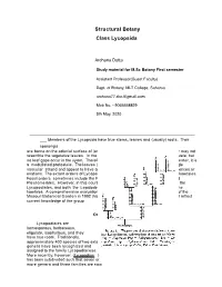 Lycophytes-1St-Semester