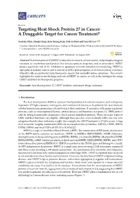 Targeting Heat Shock Protein 27 in Cancer: a Druggable Target for Cancer Treatment?