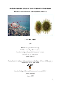Bioaccumulation and Depuration in Sea Urchins Paracentrotus Lividus