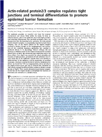 Actin-Related Protein2/3 Complex Regulates Tight Junctions and Terminal Differentiation to Promote Epidermal Barrier Formation
