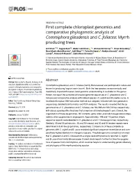 First Complete Chloroplast Genomics and Comparative Phylogenetic Analysis of Commiphora Gileadensis and C