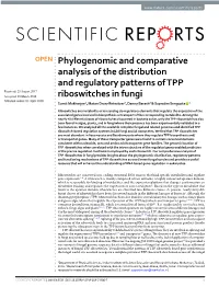 Phylogenomic and Comparative Analysis of the Distribution And