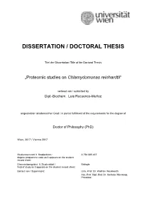 Dissertation / Doctoral Thesis