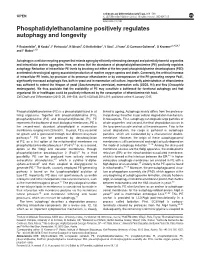 Phosphatidylethanolamine Positively Regulates Autophagy and Longevity