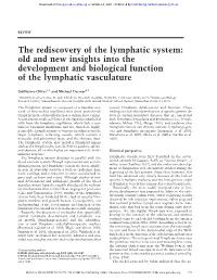 The Rediscovery of the Lymphatic System: Old and New Insights Into the Development and Biological Function of the Lymphatic Vasculature