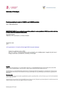 University of Groningen Post-Transcriptional Control of C/Ebpα and C/Ebpβ Proteins Zaini, Mohamad