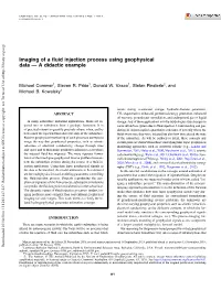 Imaging of a Fluid Injection Process Using Geophysical Data — a Didactic Example