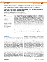 Maternal Diet During Pregnancy Induces Gene Expression and DNA Methylation Changes in Fetal Tissues in Sheep