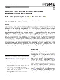 Atmospheric Carbon Monoxide Oxidation Is a Widespread Mechanism Supporting Microbial Survival