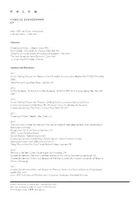 Carolee Schneemann Cv