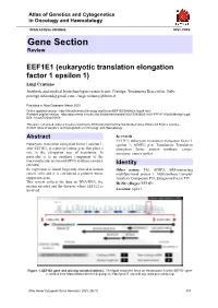 Gene Section Review