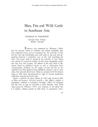 Man, Fire, and Wild Cattle in Southeast Asia, by Charles H