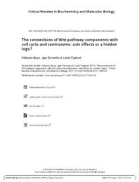 The Connections of Wnt Pathway Components with Cell Cycle and Centrosome: Side Effects Or a Hidden Logic?