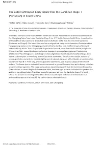 The Oldest Arthropod Body Fossils from the Cambrian Stage 1 (Fortunian) in South China