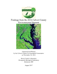 2016 Environmental Summit Report