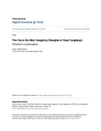 Imagining Shanghai in Yang Yongliang's Phantom Landscapes