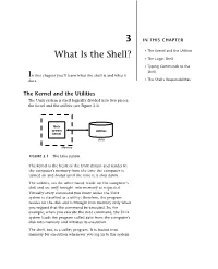 What Is the Shell? • the Login Shell