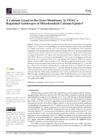 Is VDAC a Regulated Gatekeeper of Mitochondrial Calcium Uptake?