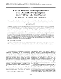 Structure, Properties, and Biological Relevance of the DNA and RNA G Quadruplexes: Overview 50 Years After Their Discovery