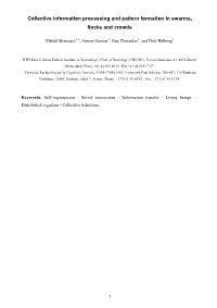 Collective Information Processing and Pattern Formation in Swarms, Flocks and Crowds