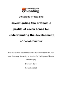 Investigating the Proteomic Profile of Cocoa Beans for Understanding The