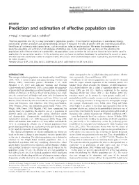 Prediction and Estimation of Effective Population Size