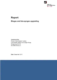 Report Biogas and Bio-Syngas Upgrading