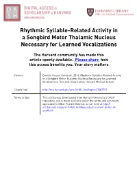 Rhythmic Syllable-Related Activity in a Songbird Motor Thalamic Nucleus Necessary for Learned Vocalizations